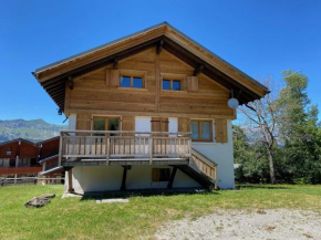Chalet 8 pers. au pied des pistes avec parking à 50m des remontées mécaniques - FR-1-733-2